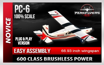 PC-6 RC Airplane PNP