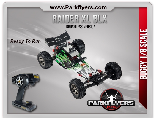 Raider XL BLX Desert Buggy