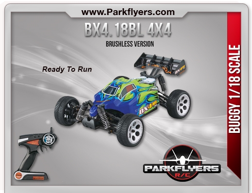 1/18 BX4.18BL Brushless 4WD RTR