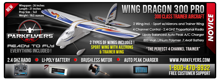 Wing Dragon 300 RTF