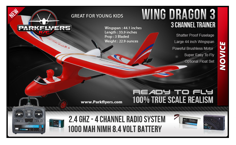 Wing Dragon III RTF RC Plane